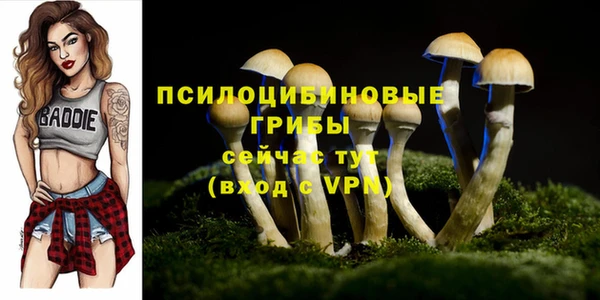 прущая мука Нея