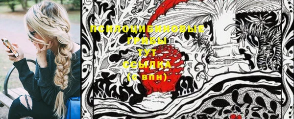 прущая мука Нея