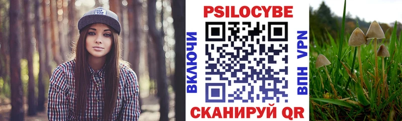 что такое наркотик  Ивантеевка  Псилоцибиновые грибы мицелий 