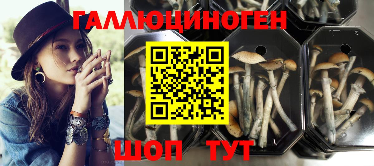 Ивантеевка  Псилоцибиновые грибы мухоморы  Галлюциногенные грибы мицелий  Вход с VPN 