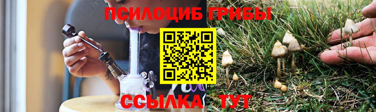 Галлюциногенные грибы Magic Shrooms Ивантеевка